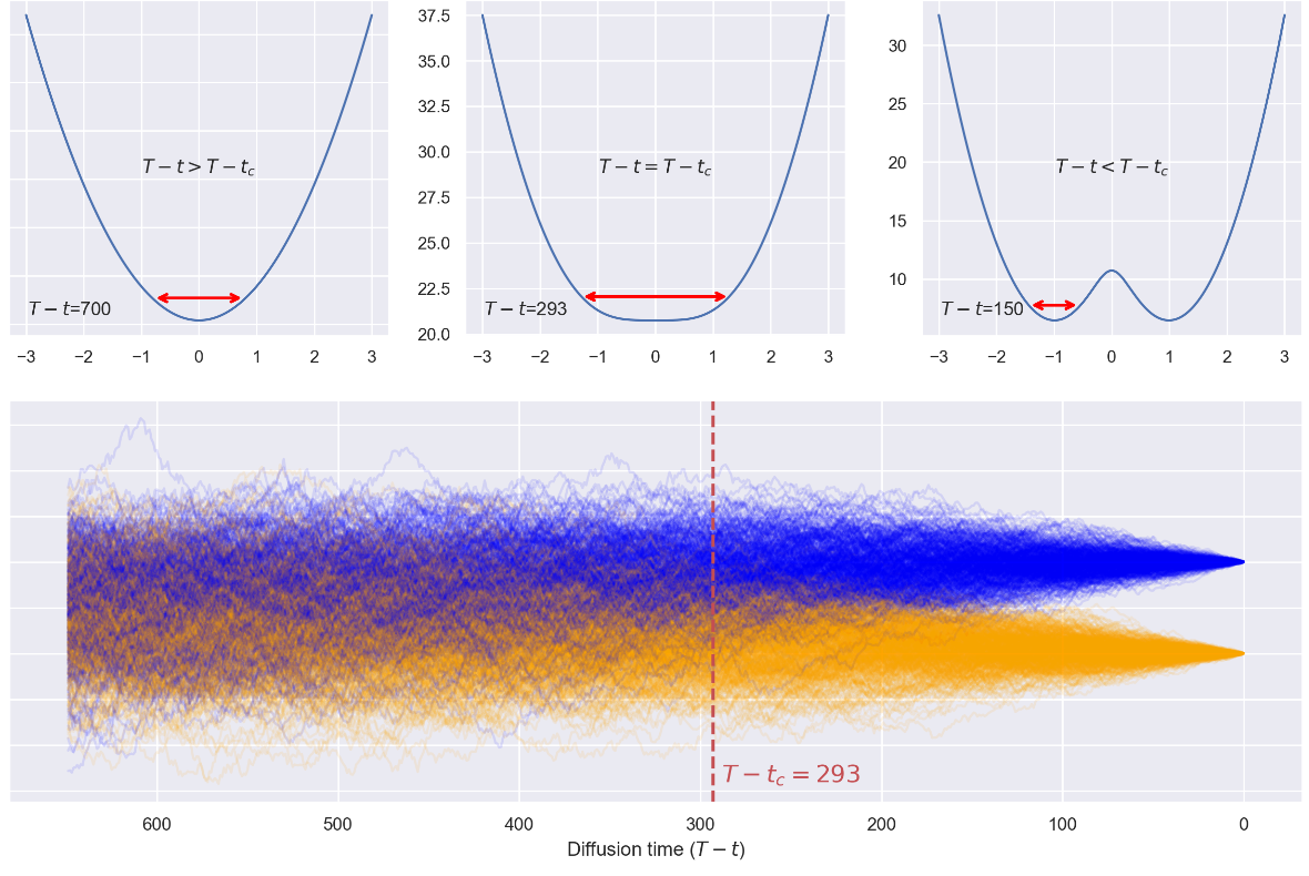 Symmetry breaking dynamics in diffusion models